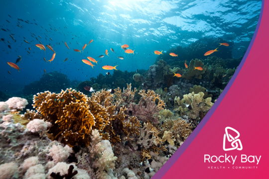 Underwater scene of a vibrant coral reef with colorful fish swimming above. Sunlight filters through clear blue water. Various coral species and marine life are visible on the sea floor. The Rocky Bay Health & Community logo appears in the bottom right corner against a curved pink border.